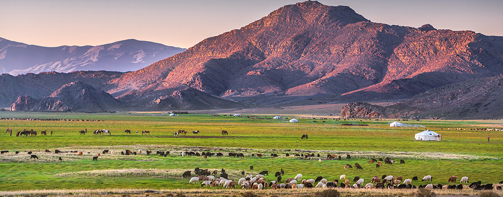 Cycling tour grades of Mongolia Biking Experts